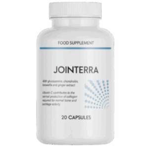 Jointerra