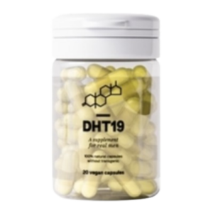 DHT19